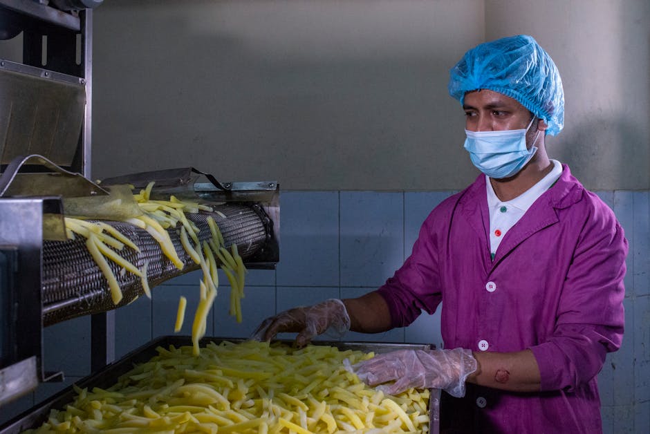 Top Food Processing Manufacturer Leads Delhi