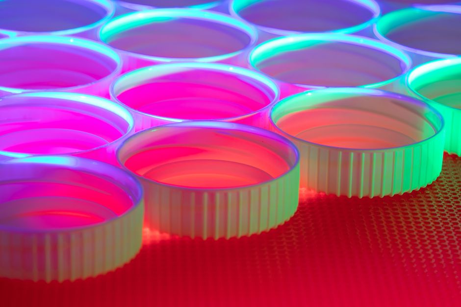 Plastics Industry database India