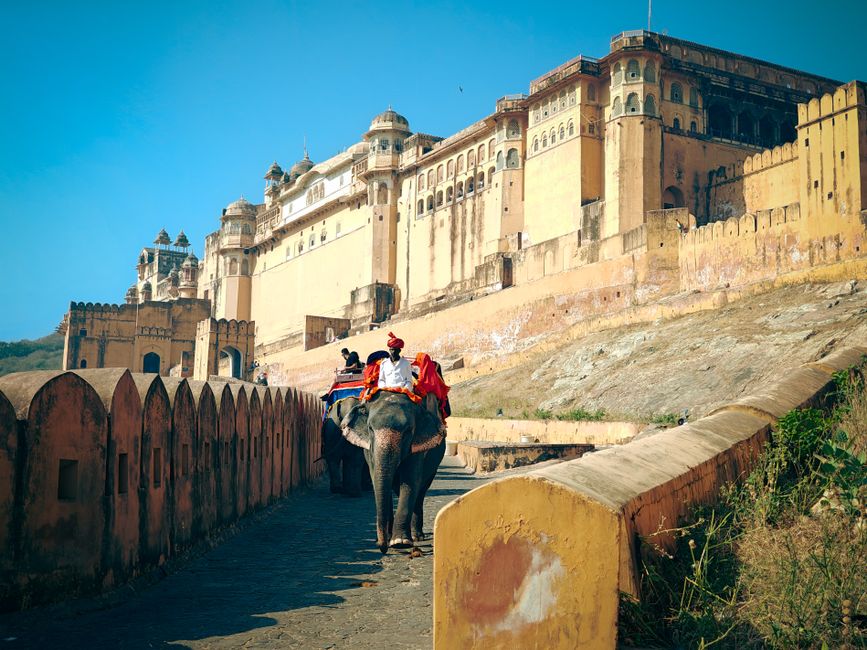 travel database providers India